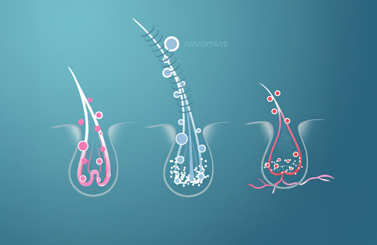 The Science Behind Healthy Hair
