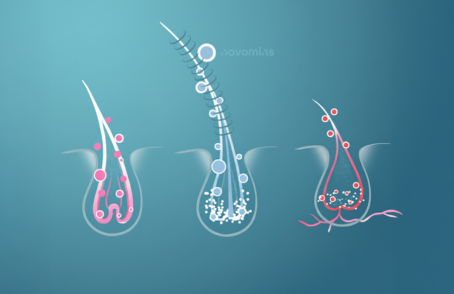 The Science Behind Healthy Hair