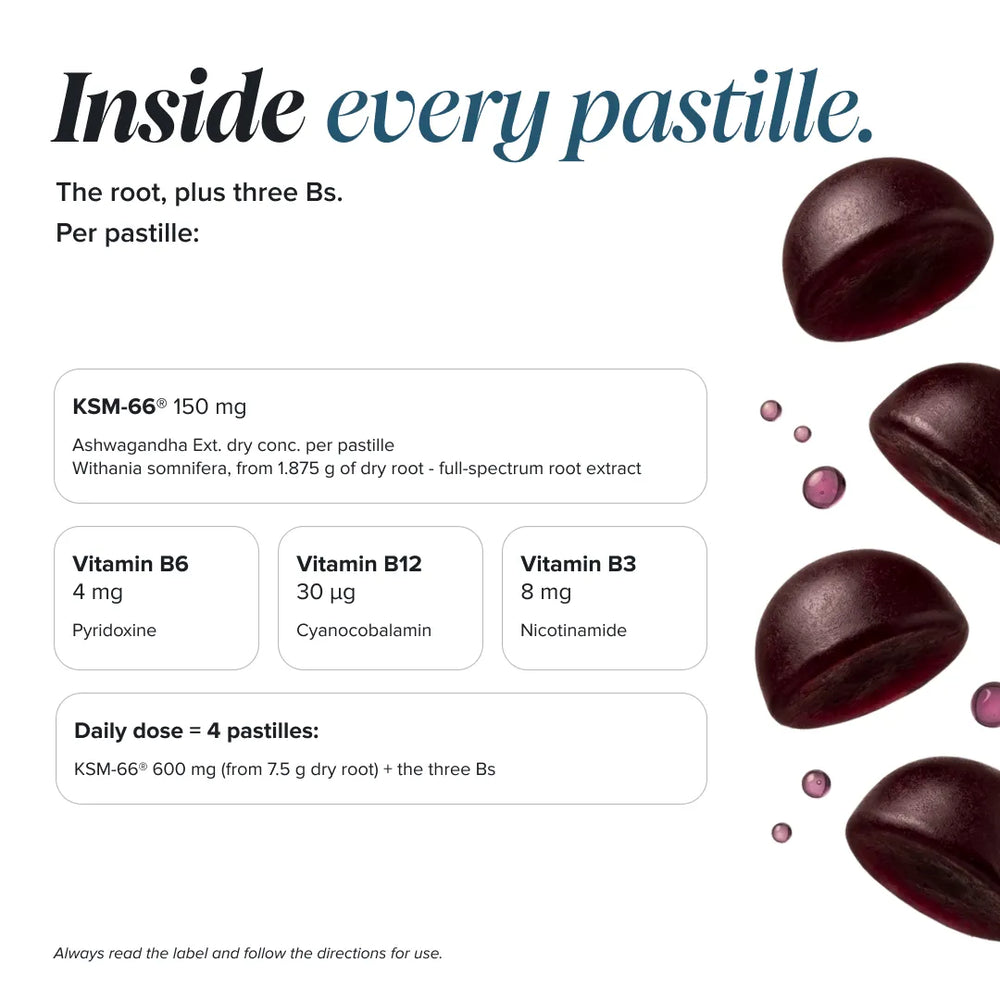An informational product graphic on a white background with the headline 'Inside every pastille.' and text detailing the contents of a single pastille.